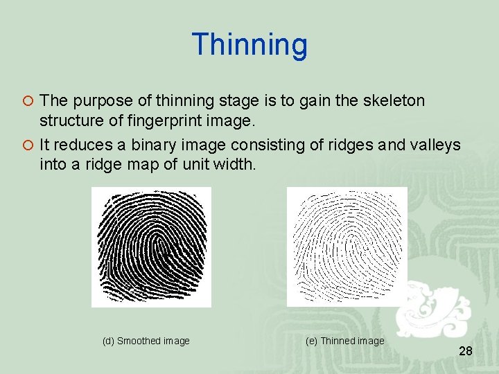 Thinning The purpose of thinning stage is to gain the skeleton structure of fingerprint Thinning The purpose of thinning stage is to gain the skeleton structure of fingerprint
