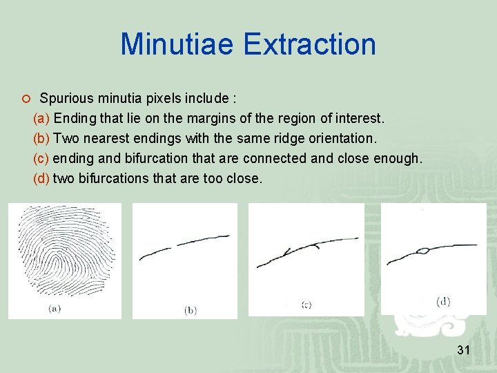 Minutiae Extraction Spurious minutia pixels include : (a) Ending that lie on the margins Minutiae Extraction Spurious minutia pixels include : (a) Ending that lie on the margins