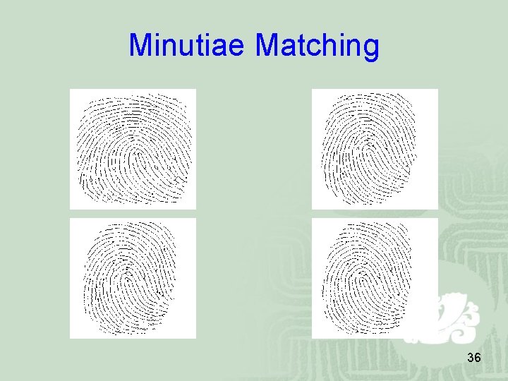 Minutiae Matching 36 Minutiae Matching 36