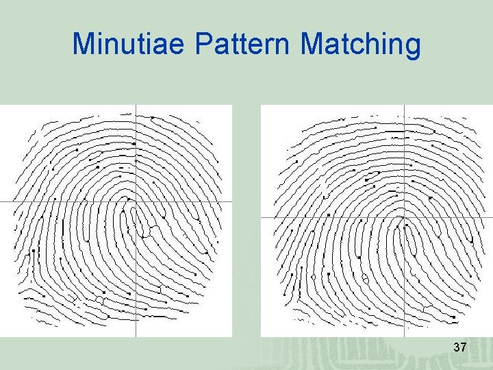 Minutiae Pattern Matching 37 Minutiae Pattern Matching 37
