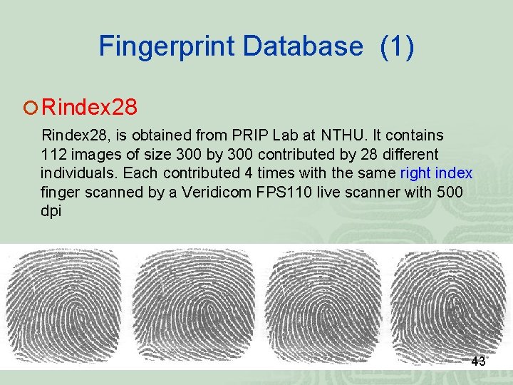 Fingerprint Database (1) Rindex 28, is obtained from PRIP Lab at NTHU. It contains Fingerprint Database (1) Rindex 28, is obtained from PRIP Lab at NTHU. It contains