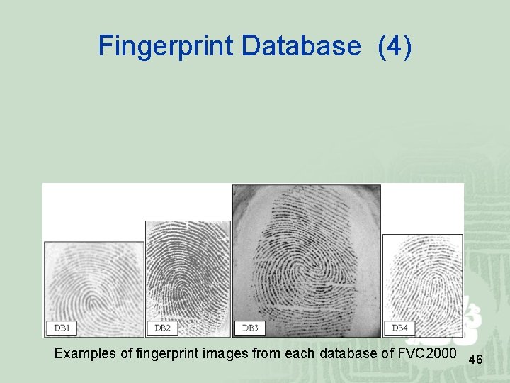Fingerprint Database (4) Examples of fingerprint images from each database of FVC 2000 46 Fingerprint Database (4) Examples of fingerprint images from each database of FVC 2000 46