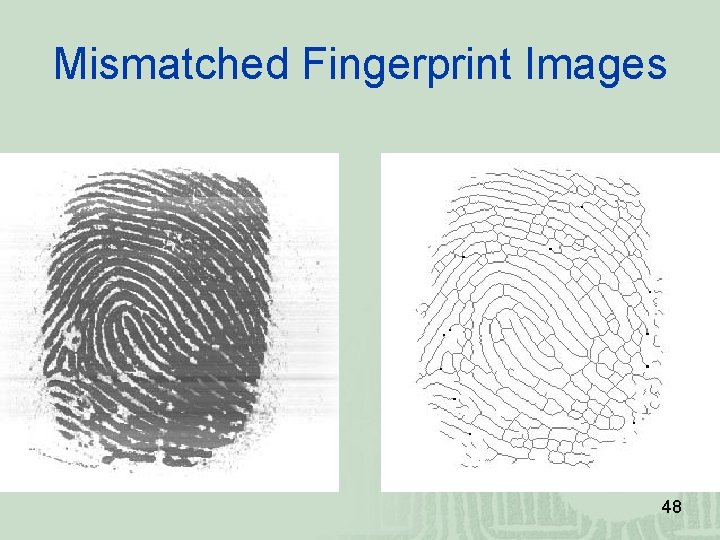 Mismatched Fingerprint Images 48 Mismatched Fingerprint Images 48