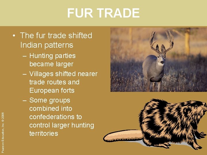 FUR TRADE Pearson Education, Inc. © 2006 • The fur trade shifted Indian patterns