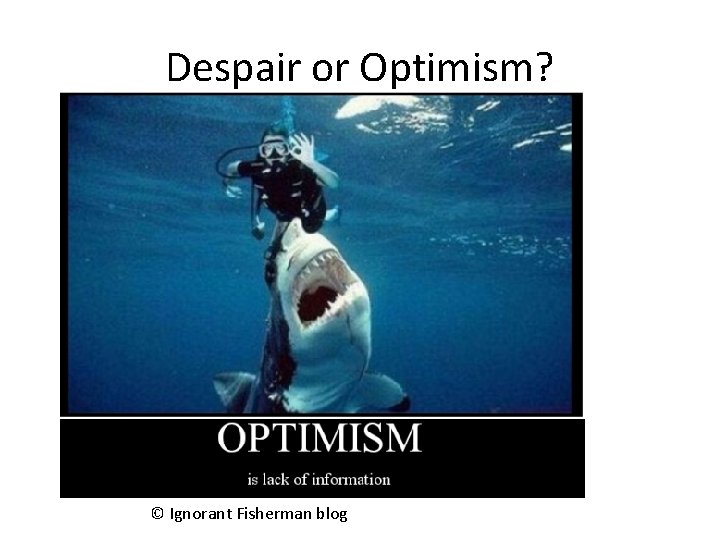 Despair or Optimism? © Ignorant Fisherman blog 