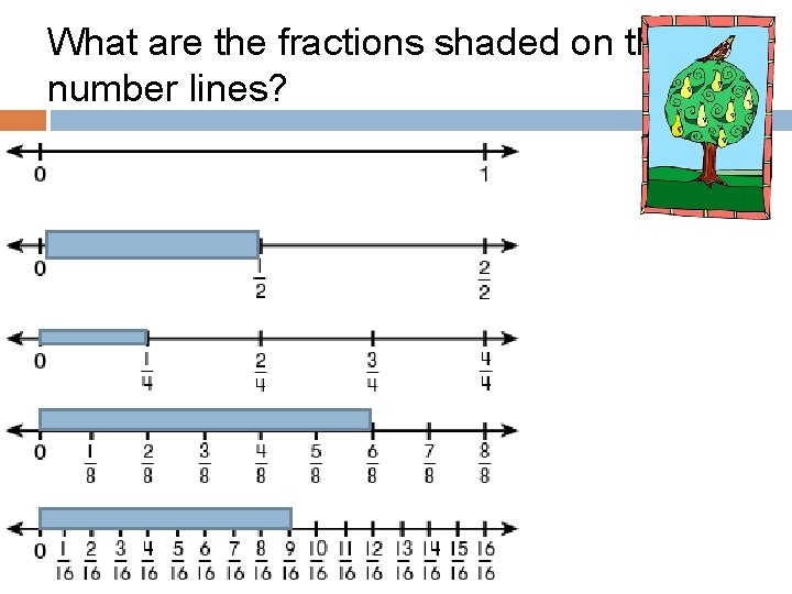 What are the fractions shaded on the number lines? 