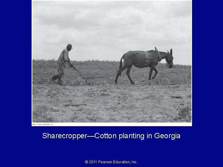 Sharecropper—Cotton planting in Georgia © 2011 Pearson Education, Inc. Sharecropper—Cotton planting in Georgia © 2011 Pearson Education, Inc.