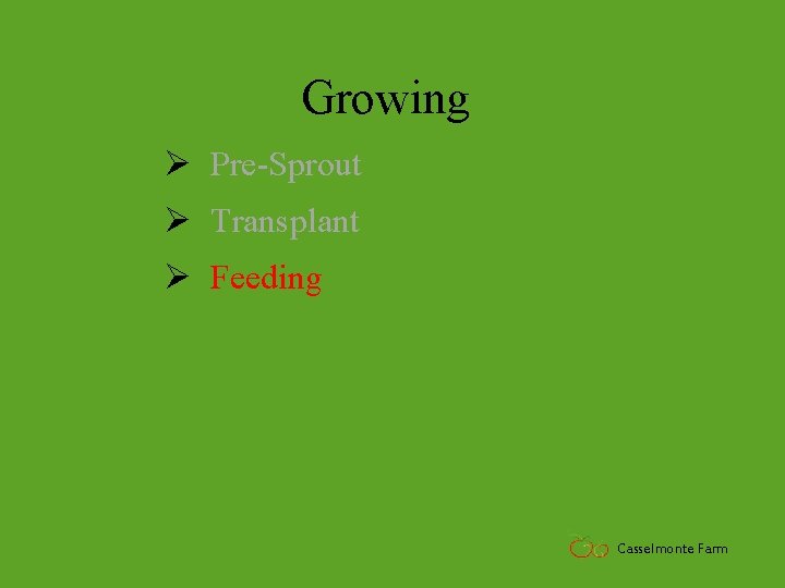 Growing Ø Pre-Sprout Ø Transplant Ø Feeding Casselmonte Farm 