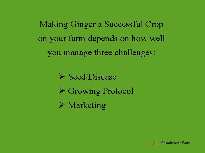 Making Ginger a Successful Crop on your farm depends on how well you manage