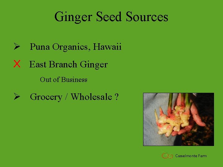 Ginger Seed Sources Ø Puna Organics, Hawaii X East Branch Ginger Out of Business