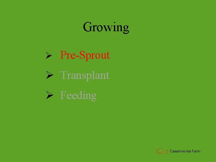 Growing Ø Pre-Sprout Ø Transplant Ø Feeding Casselmonte Farm 