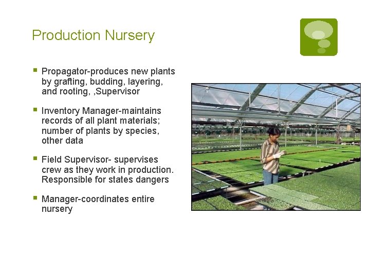 Production Nursery § Propagator-produces new plants by grafting, budding, layering, and rooting, , Supervisor Production Nursery § Propagator-produces new plants by grafting, budding, layering, and rooting, , Supervisor