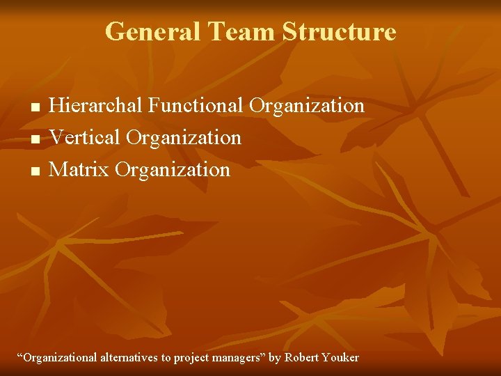 General Team Structure n n n Hierarchal Functional Organization Vertical Organization Matrix Organization “Organizational