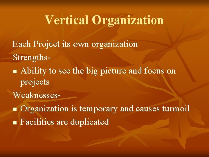 Vertical Organization Each Project its own organization Strengthsn Ability to see the big picture