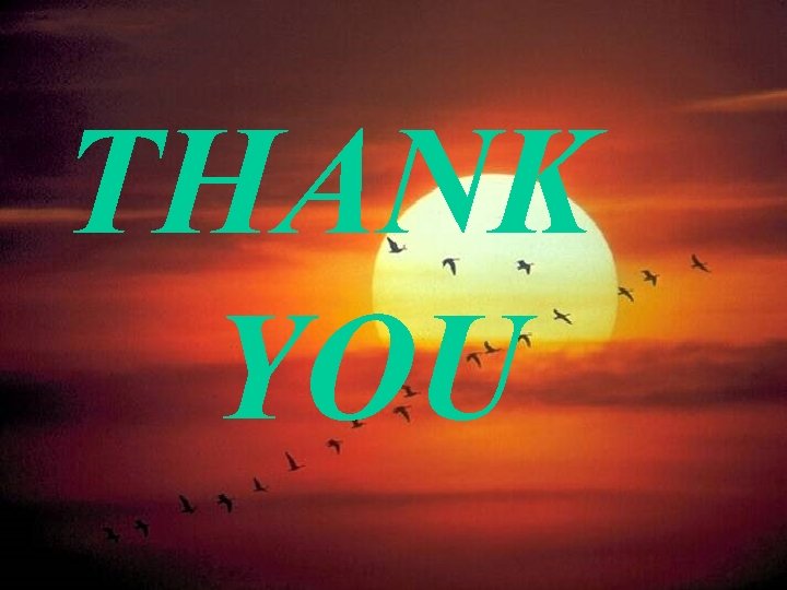 THANK YOU 