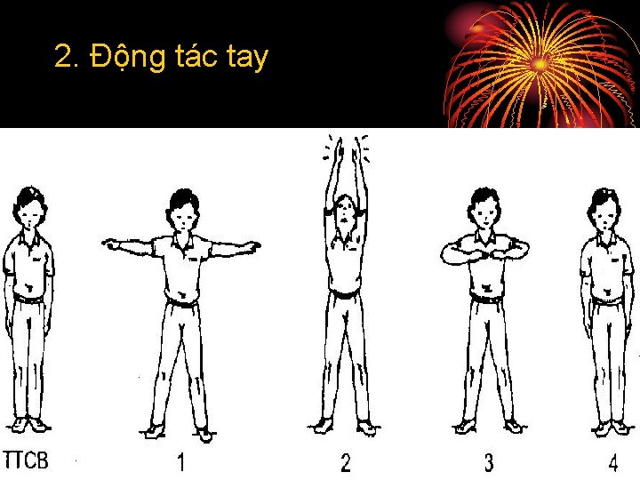 2. Động tác tay 