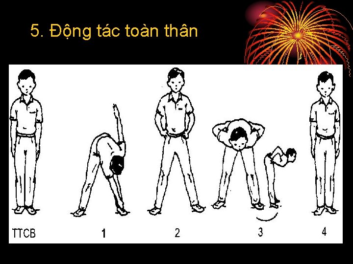 5. Động tác toàn thân 