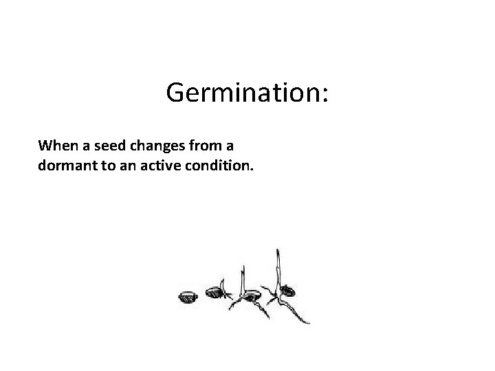 Germination: When a seed changes from a dormant to an active condition. 