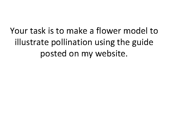 Your task is to make a flower model to illustrate pollination using the guide