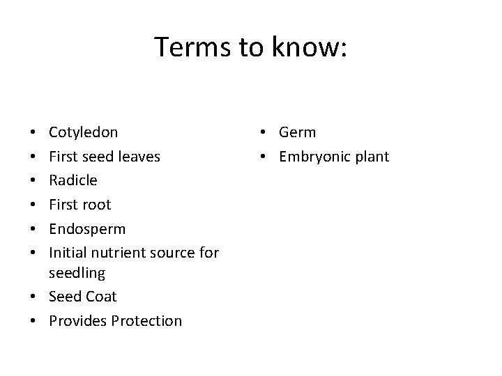 Terms to know: Cotyledon First seed leaves Radicle First root Endosperm Initial nutrient source