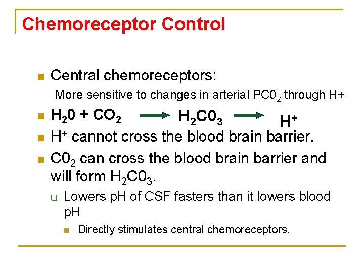 Chemoreceptor Control n Central chemoreceptors: More sensitive to changes in arterial PC 02 through