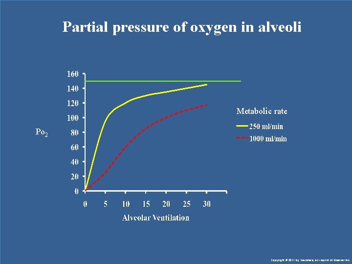 Partial pressure of oxygen in alveoli Metabolic rate Po 2 Copyright © 2011 by