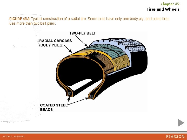 chapter 45 Tires and Wheels FIGURE 45. 5 Typical construction of a radial tire.