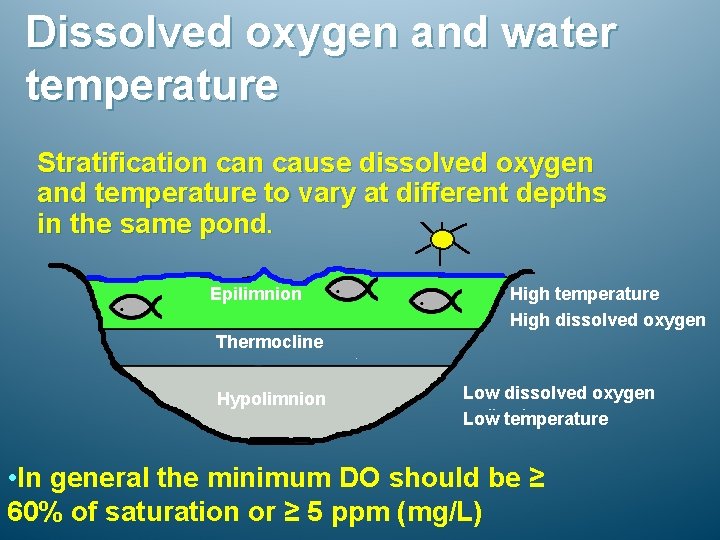 Dissolved oxygen and water temperature Stratification cause dissolved oxygen and temperature to vary at