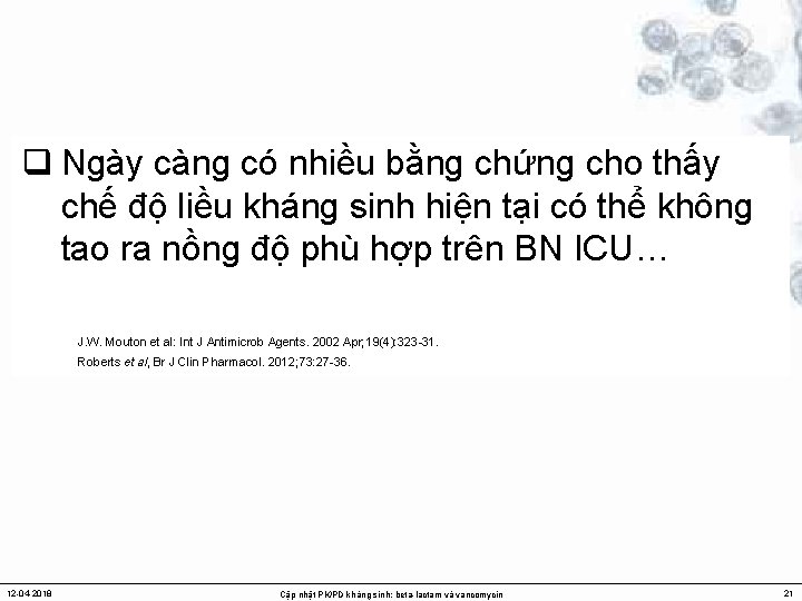 q Ngày càng có nhiều bằng chứng cho thấy chế độ liều kháng sinh