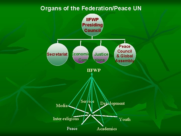 Organs of the Federation/Peace UN IIFWP Presiding Council Secretariat Economic Justice Commissions Peace Council