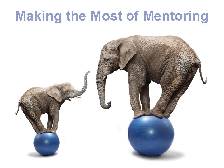 Making the Most of Mentoring 