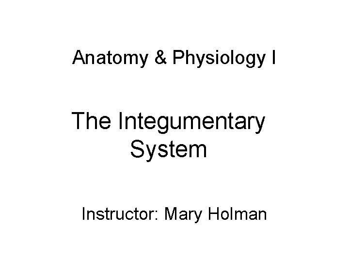 Anatomy & Physiology I The Integumentary System Instructor: Mary Holman 