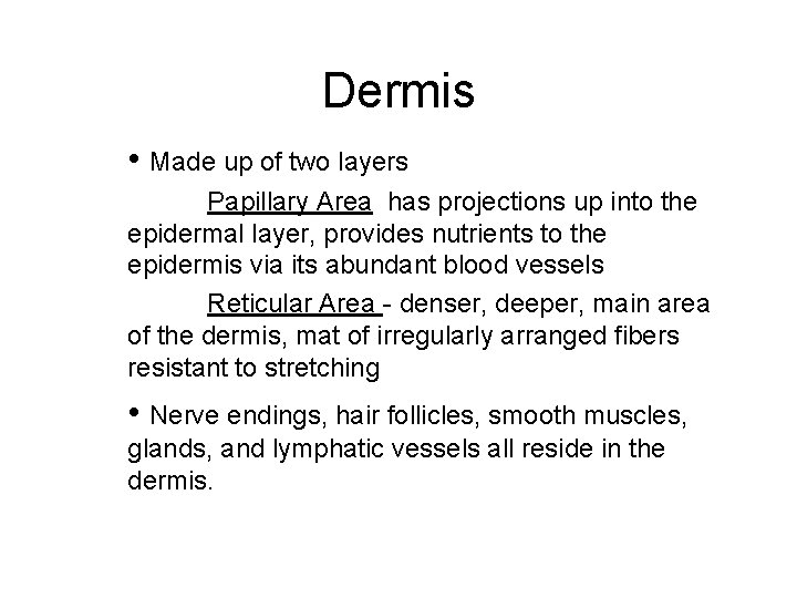 Dermis • Made up of two layers Papillary Area has projections up into the
