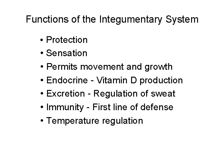 Functions of the Integumentary System • Protection • Sensation • Permits movement and growth