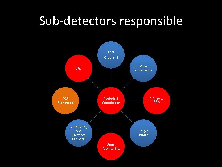 Sub-detectors responsible Ecal Organtini Veto Kozhuharov SAC DCS Ferrarotto Technical Coordinator Computing and Software