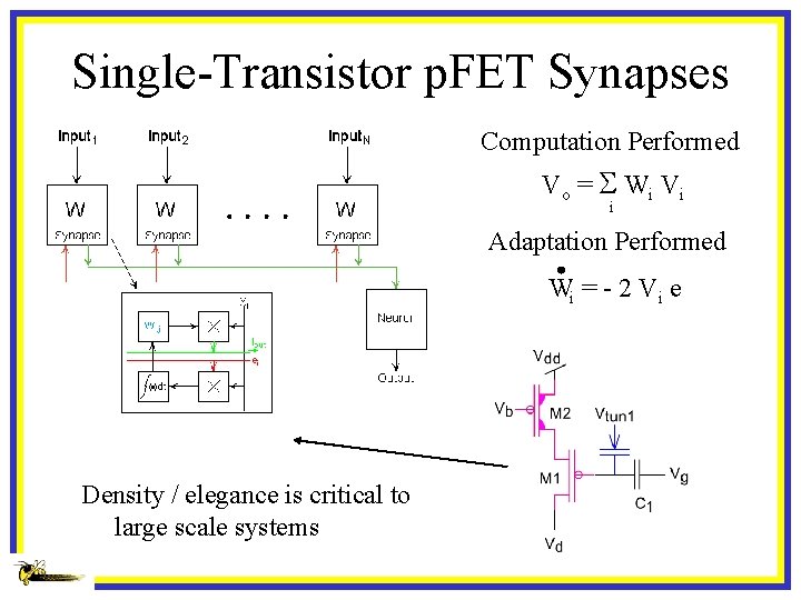 Single-Transistor p. FET Synapses Computation Performed Vo = S W i Vi i Adaptation