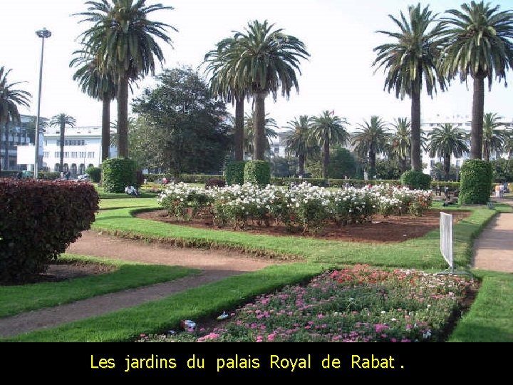 Les jardins du palais Royal de Rabat. 