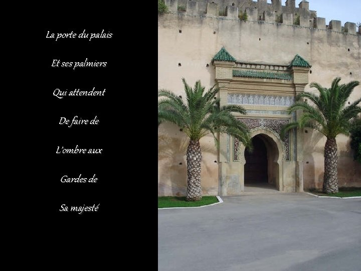 La porte du palais Et ses palmiers Qui attendent De faire de L’ombre aux