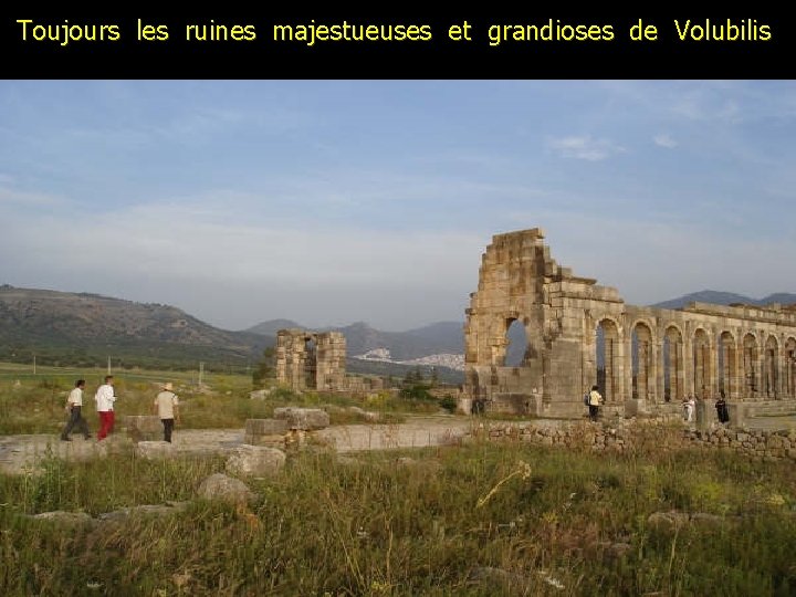 Toujours les ruines majestueuses et grandioses de Volubilis 