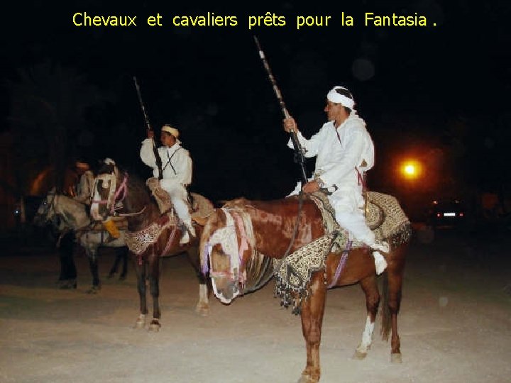 Chevaux et cavaliers prêts pour la Fantasia. 