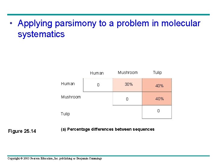  • Applying parsimony to a problem in molecular systematics Human 0 Mushroom Tulip