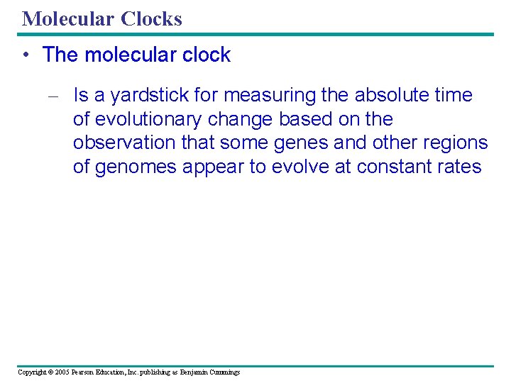 Molecular Clocks • The molecular clock – Is a yardstick for measuring the absolute