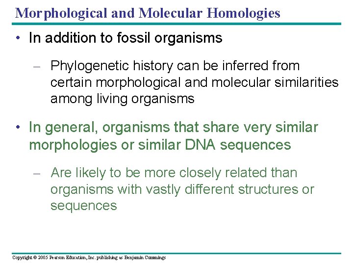 Morphological and Molecular Homologies • In addition to fossil organisms – Phylogenetic history can