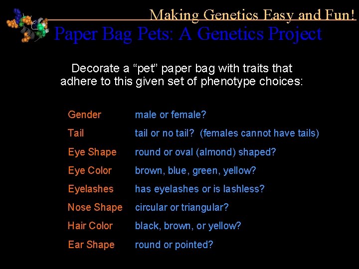 Making Genetics Easy and Fun! Paper Bag Pets: A Genetics Project Decorate a “pet”