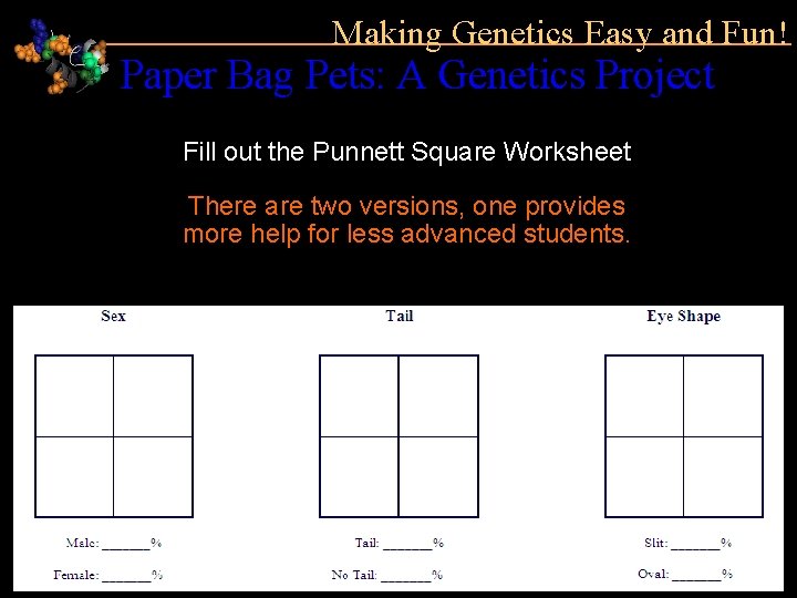 Making Genetics Easy and Fun! Paper Bag Pets: A Genetics Project Fill out the