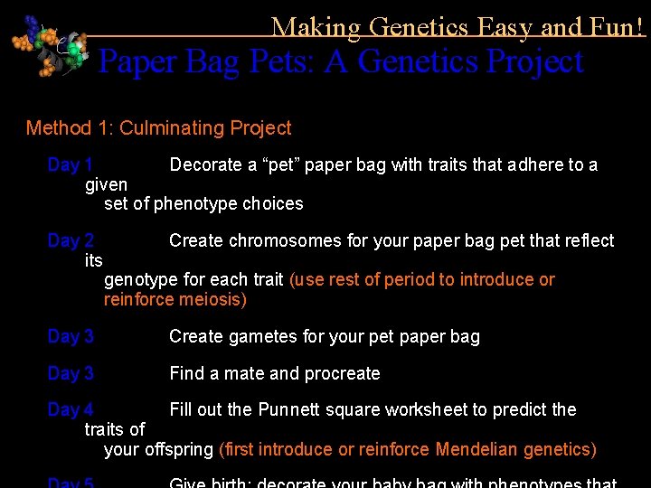 Making Genetics Easy and Fun! Paper Bag Pets: A Genetics Project Method 1: Culminating