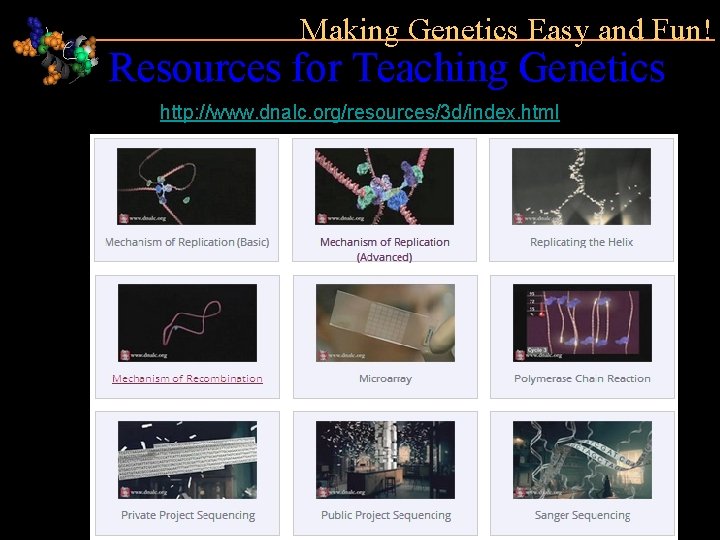 Making Genetics Easy and Fun! Resources for Teaching Genetics http: //www. dnalc. org/resources/3 d/index.