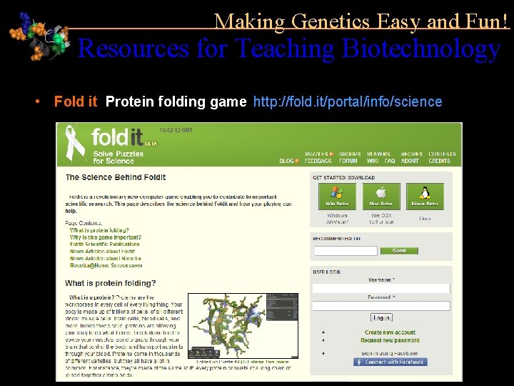 Making Genetics Easy and Fun! Resources for Teaching Biotechnology • Fold it Protein folding