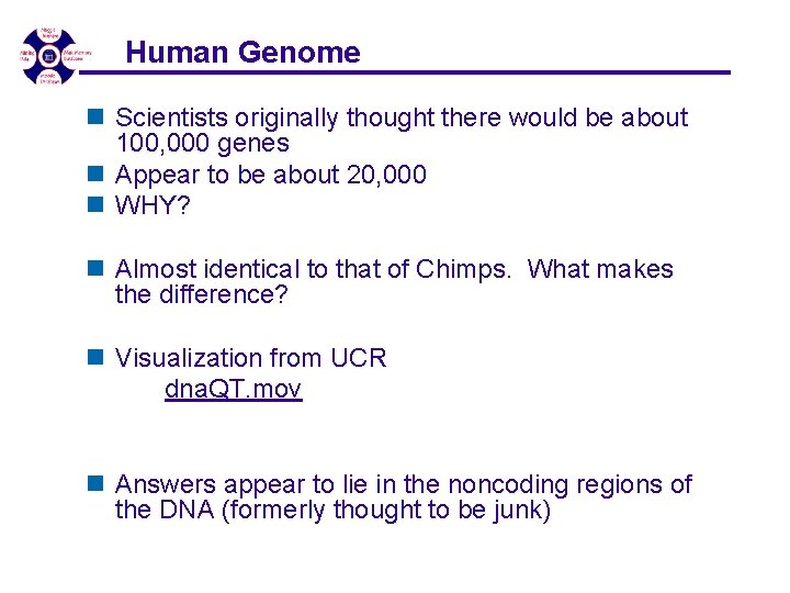 Human Genome n Scientists originally thought there would be about 100, 000 genes n Human Genome n Scientists originally thought there would be about 100, 000 genes n