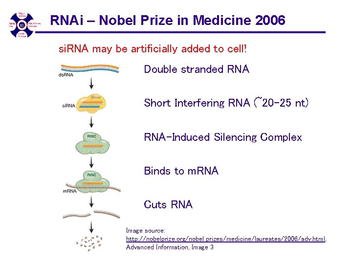 RNAi – Nobel Prize in Medicine 2006 si. RNA may be artificially added to RNAi – Nobel Prize in Medicine 2006 si. RNA may be artificially added to